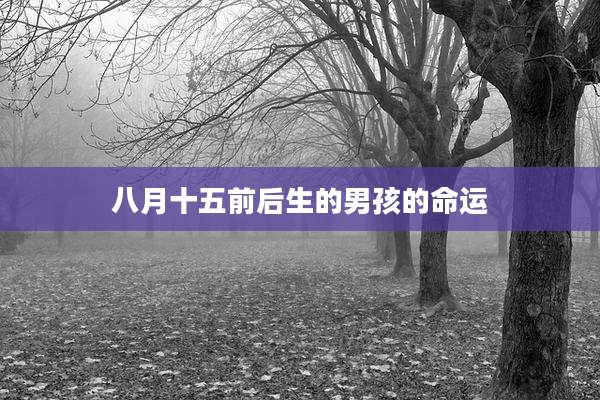 八月十五前后生的男孩的命运