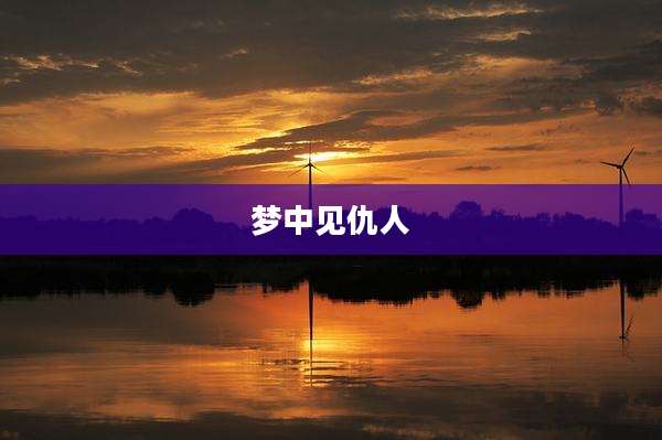 梦中见仇人
