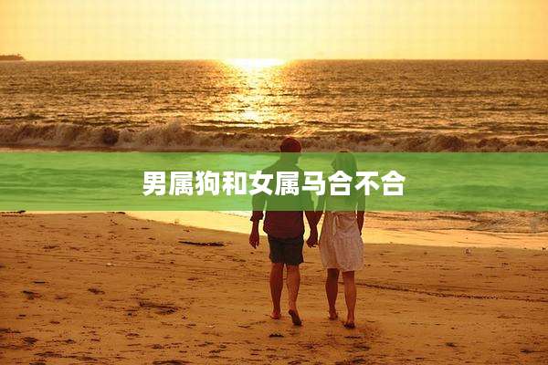 男属狗和女属马合不合