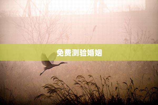 免费测验婚姻