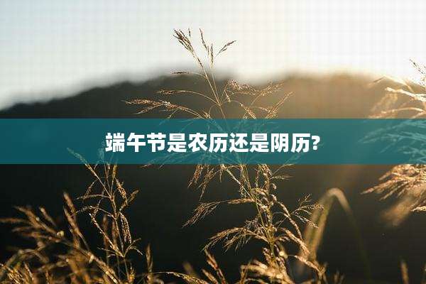 端午节是农历还是阴历?