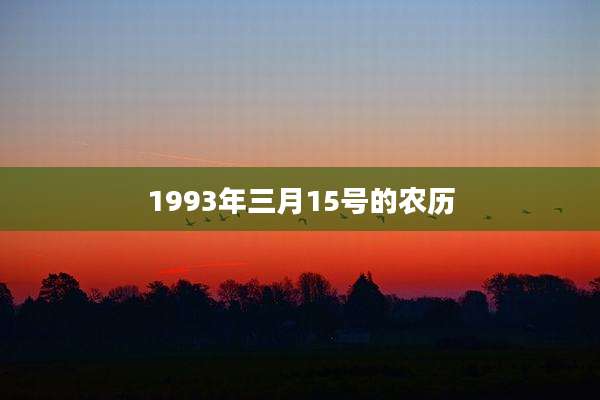 1993年三月15号的农历