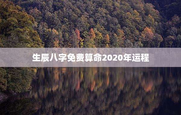 生辰八字免费算命2020年运程