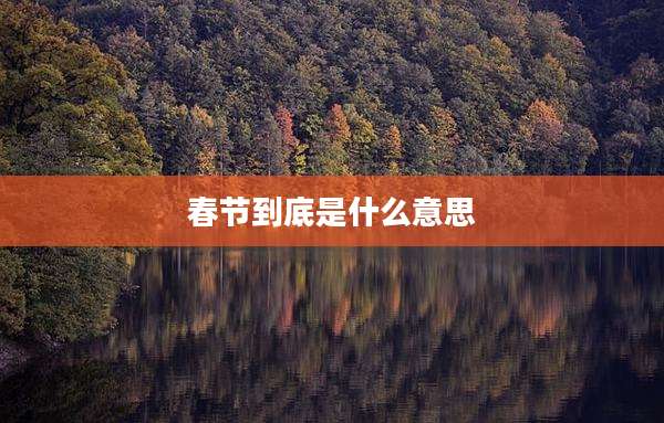 春节到底是什么意思