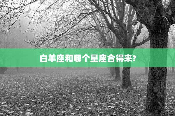 白羊座和哪个星座合得来?