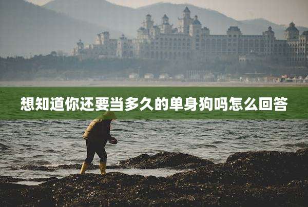 想知道你还要当多久的单身狗吗怎么回答