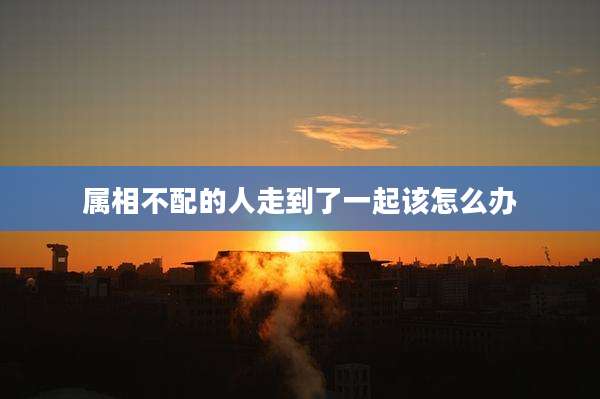 属相不配的人走到了一起该怎么办