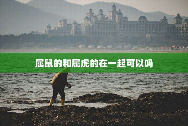 属鼠的和属虎的在一起可以吗