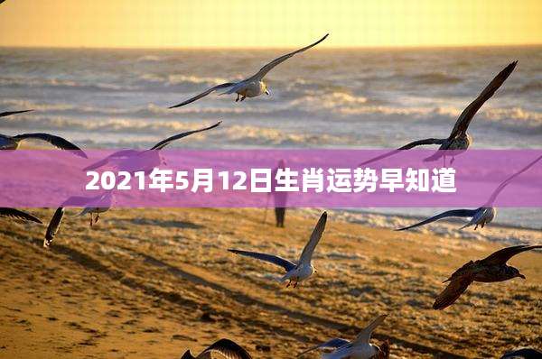 2021年5月12日生肖运势早知道