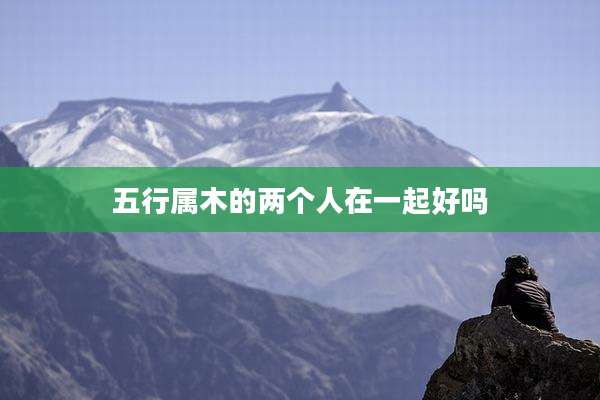 五行属木的两个人在一起好吗