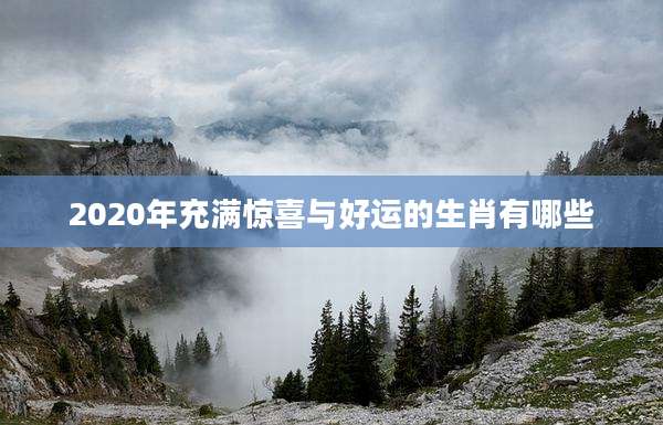 2020年充满惊喜与好运的生肖有哪些