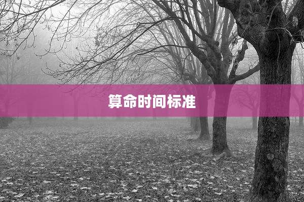 算命时间标准