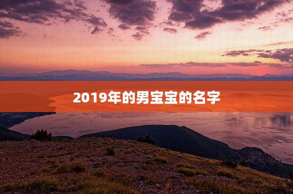 2019年的男宝宝的名字