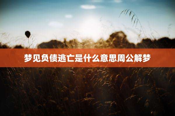 梦见负债逃亡是什么意思周公解梦