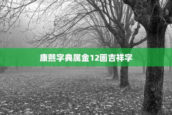 康熙字典属金12画吉祥字