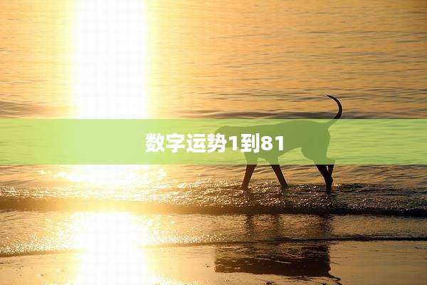 数字运势1到81
