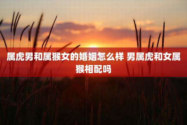 属虎男和属猴女的婚姻怎么样 男属虎和女属猴相配吗