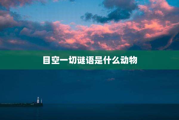 目空一切谜语是什么动物