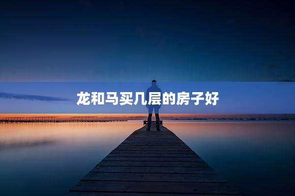 龙和马买几层的房子好