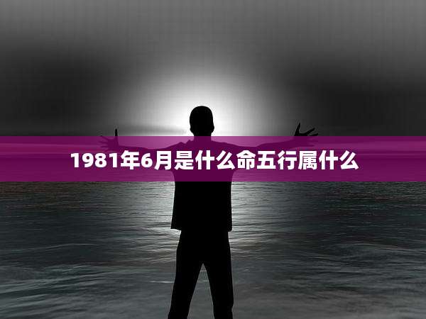 1981年6月是什么命五行属什么