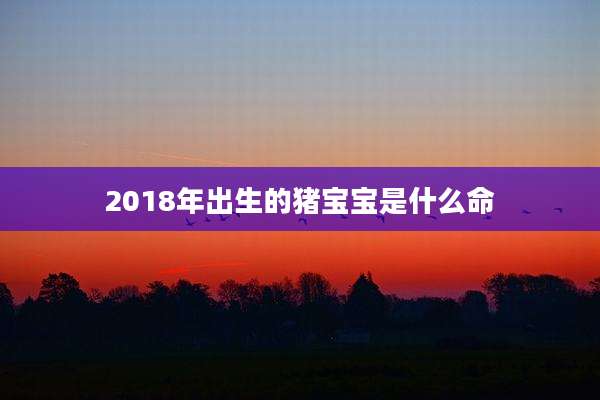 2018年出生的猪宝宝是什么命