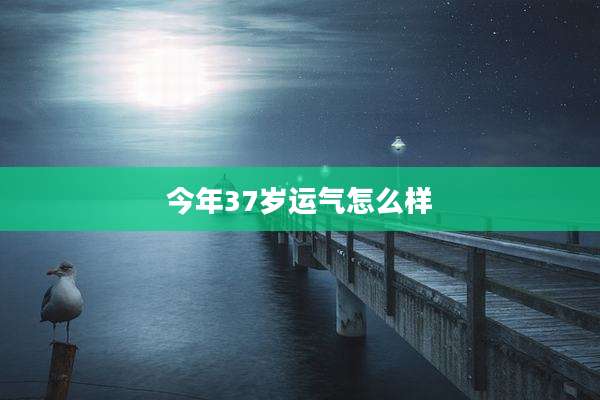 今年37岁运气怎么样