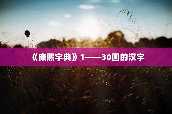 《康熙字典》1——30画的汉字