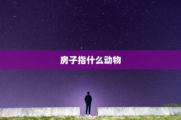房子指什么动物