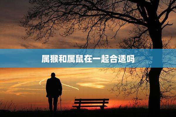 属猴和属鼠在一起合适吗