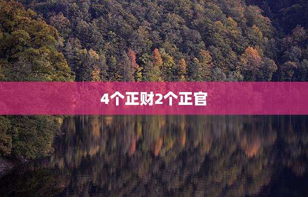 4个正财2个正官