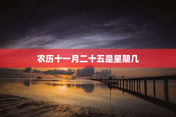 农历十一月二十五是星期几