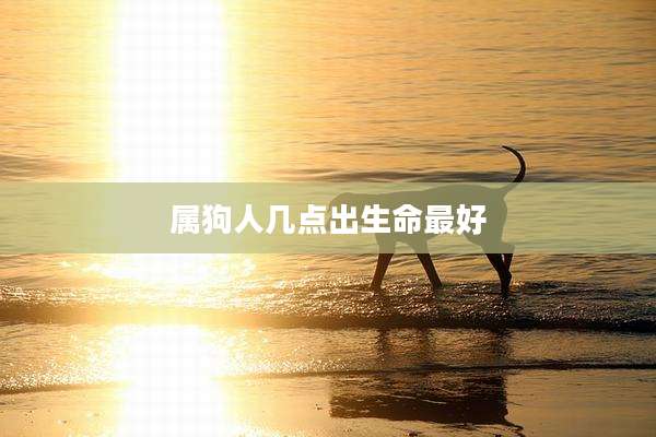 属狗人几点出生命最好