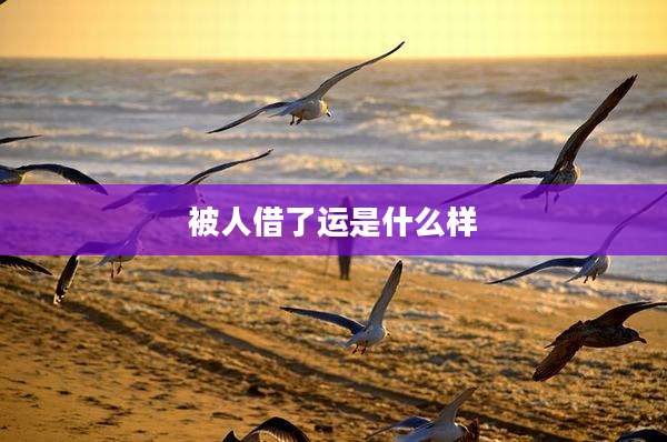被人借了运是什么样