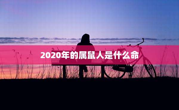 2020年的属鼠人是什么命