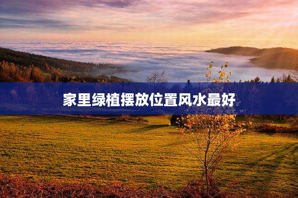 家里绿植摆放位置风水最好