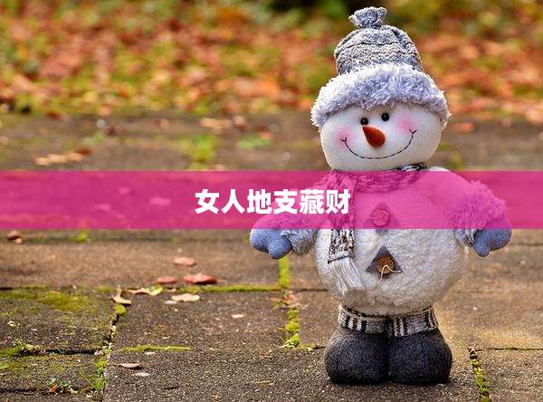 女人地支藏财