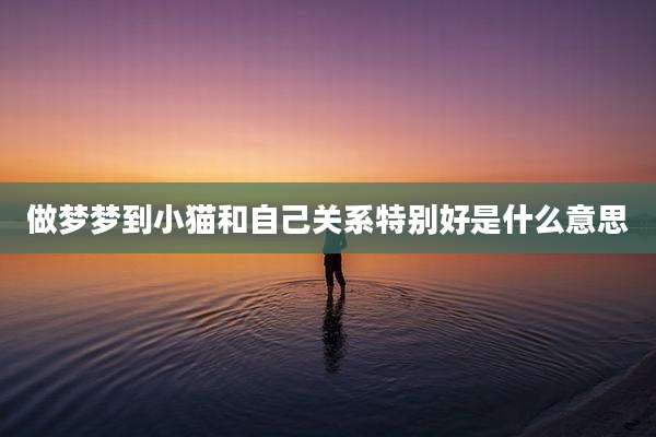 做梦梦到小猫和自己关系特别好是什么意思
