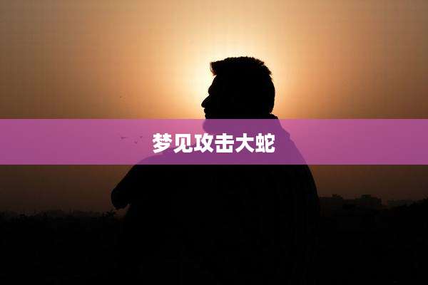 梦见攻击大蛇