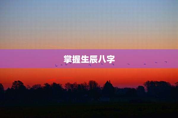 掌握生辰八字