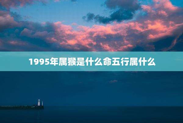 1995年属猴是什么命五行属什么