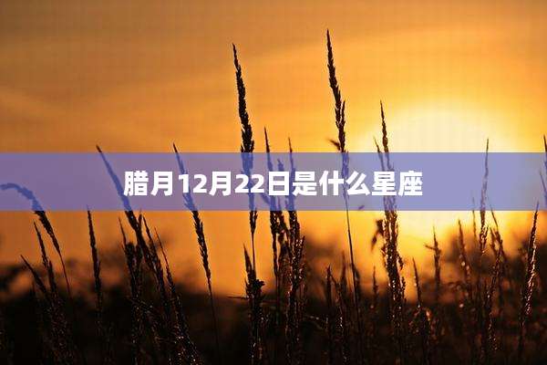 腊月12月22日是什么星座