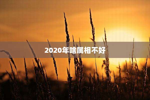 2020年啥属相不好