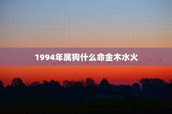 1994年属狗什么命金木水火