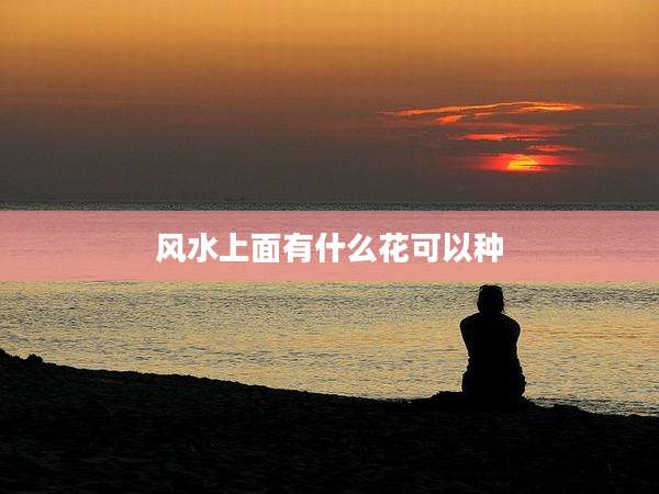 风水上面有什么花可以种