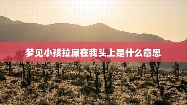梦见小孩拉屎在我头上是什么意思