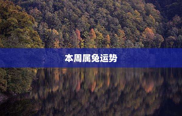 本周属兔运势