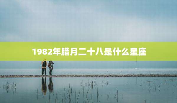 1982年腊月二十八是什么星座