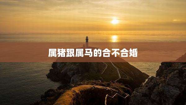 属猪跟属马的合不合婚