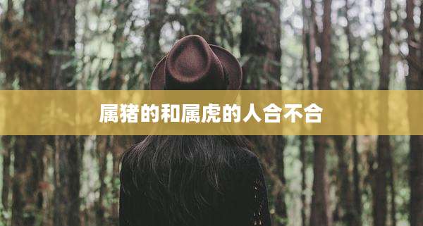 属猪的和属虎的人合不合