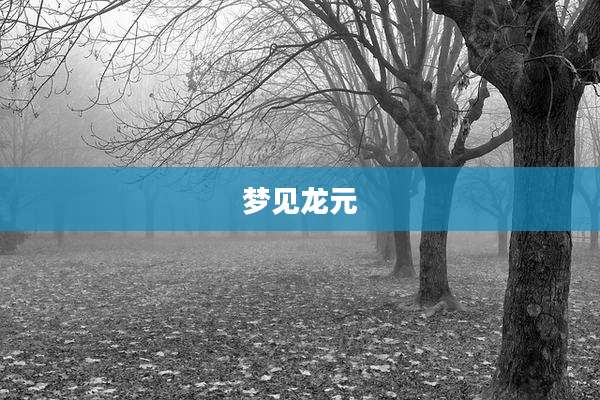 梦见龙元